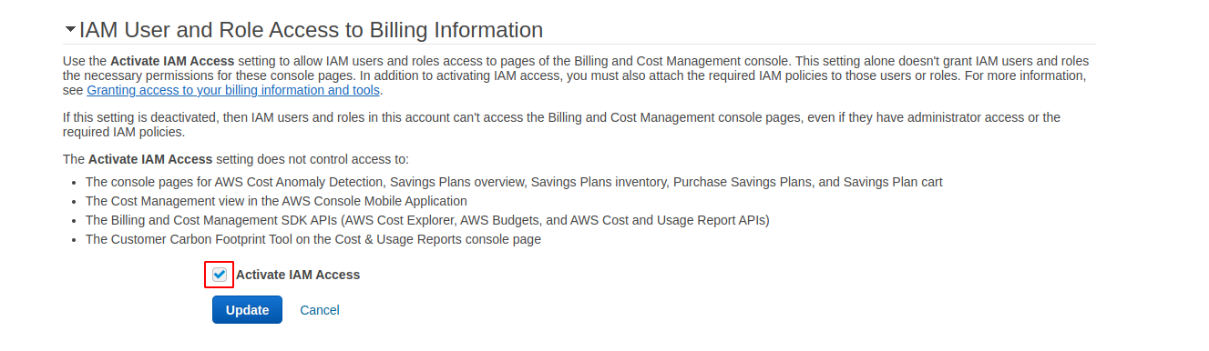 enabling iam access